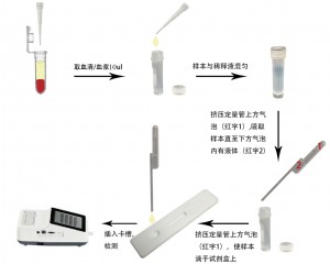 犬传染性肝炎病毒/犬细小病毒/犬瘟热病毒抗体定量检测试剂盒(稀土纳米晶荧光免疫层析法)(ICHV/CPV/CDV Ab)